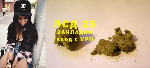 дживик Верея