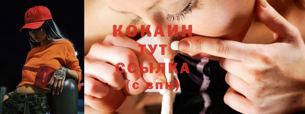 дживик Верея