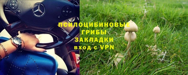 дживик Верея