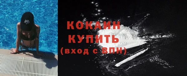 амф Бородино